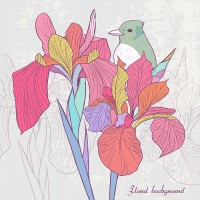 /album/illustrator/a05-%e3%80%8a%e8%8a%b1%e7%b9%aa%e9%b3%a5%e3%80%8b-2-jpg/